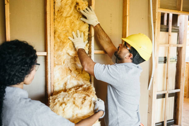 Best Wall Insulation Installation  in Havelock, NC